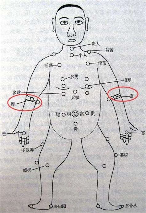 手臂痣|痣的位置透露出這些訊息！上手臂有痣不乏追求者、手。